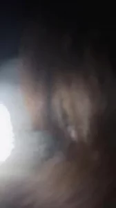 三妻四妾的电影电视剧