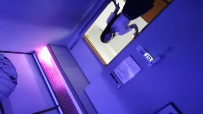 异世的熊猫酒仙